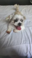 Marley
