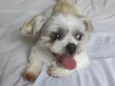 Marley