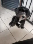 Bow 