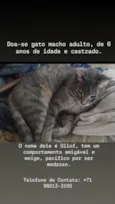 Ollof