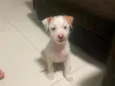kiara 
