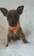 Zoe