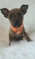 Zoe