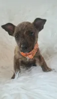 Zoe