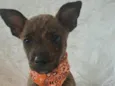 Zoe