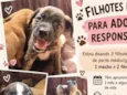 não tem 