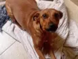 Lupita