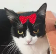Minnie