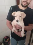 polar