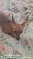 nina