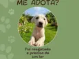 sem nome
