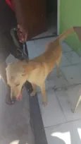 luck 