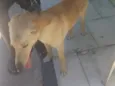 luck 