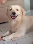 Laion