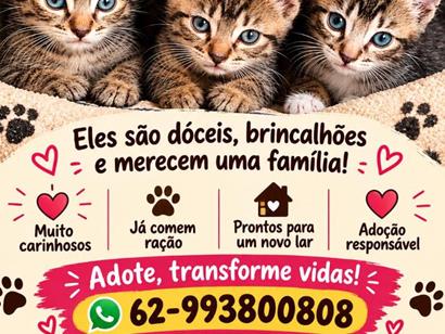Sem nomes - Goiânia