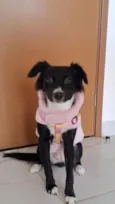 Cordélia