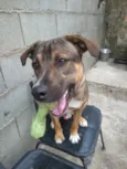Zeus