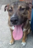 Zeus