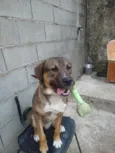 Zeus