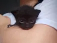 Pretinho 