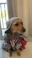 MANTEIGA