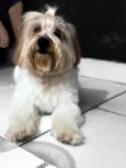 Não sabemos o nome