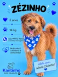 Zézinho 