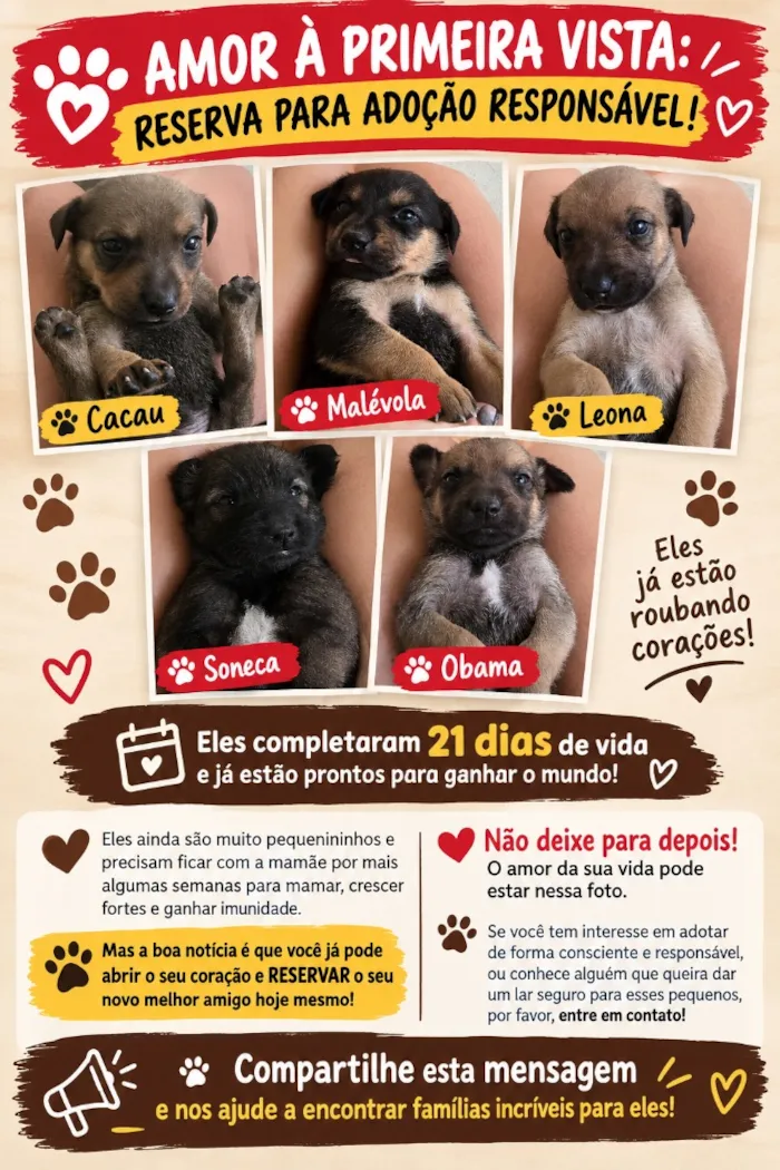 Cachorro raça SRD-ViraLata idade Abaixo de 2 meses nome Malévola