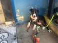 Apolo