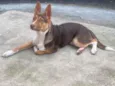 Bombom