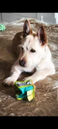 Doritos