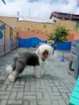 Vina