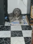 lua