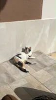 Mimi