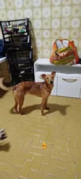 sem nome ainda