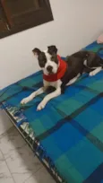 Akyra