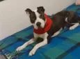 Akyra
