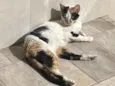 Mimi