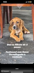 Ralff
