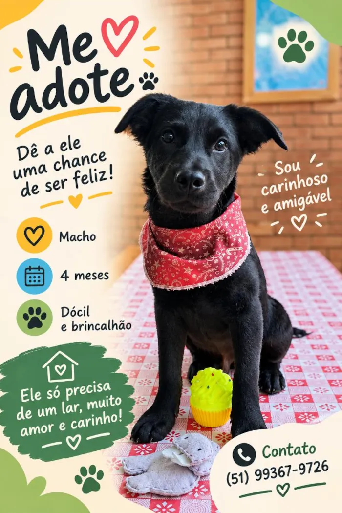 Cachorro raça SRD-ViraLata idade 2 a 6 meses nome Jorge Black