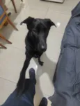 Bob