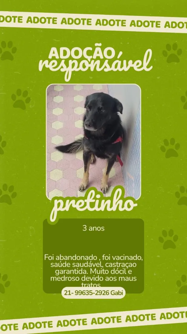 Cachorro raça SRD-ViraLata idade 3 anos nome Pretinho 