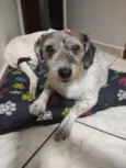 Princesa 