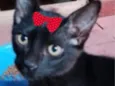 Mimi