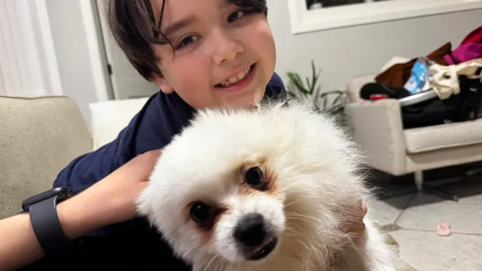 Cachorro raça Lhasa Apso idade 1 ano nome Brule