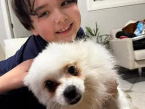 Cachorro raça Lhasa Apso idade 1 ano nome Brule