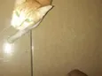 não tenho, resgatei ela