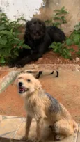 Rex&melony