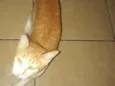 não tenho, resgatei ela