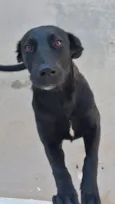 Tom 